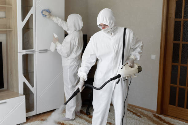 Best Local Mold Removal Service  in Gananda, NY