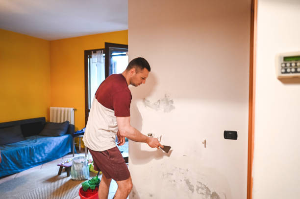 Best Residential Mold Removal  in Gananda, NY